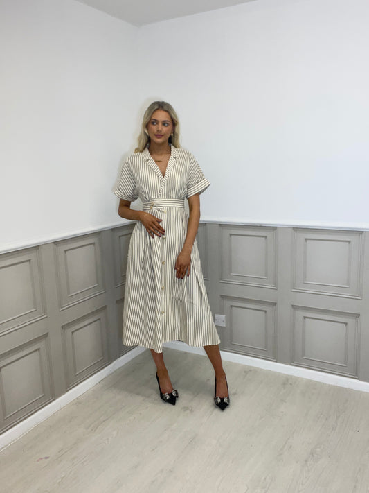 Marinetta stripe dress