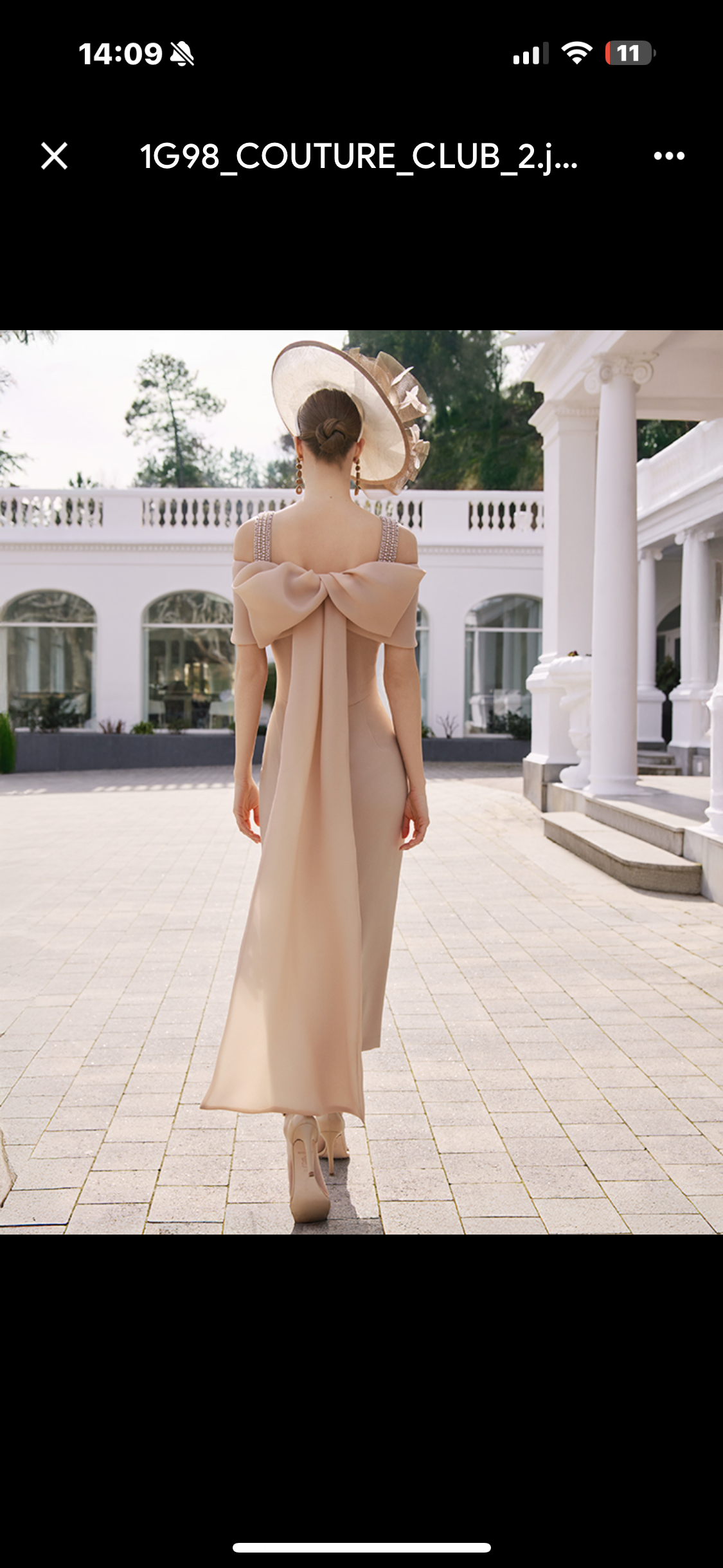 Mother of the bride and groom/special occasion