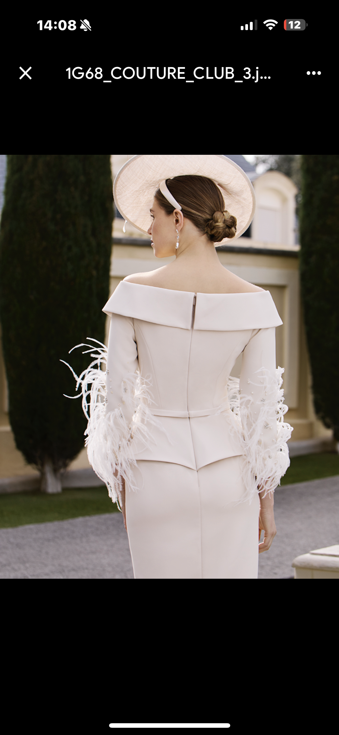 Mother of the bride and groom/special occasion