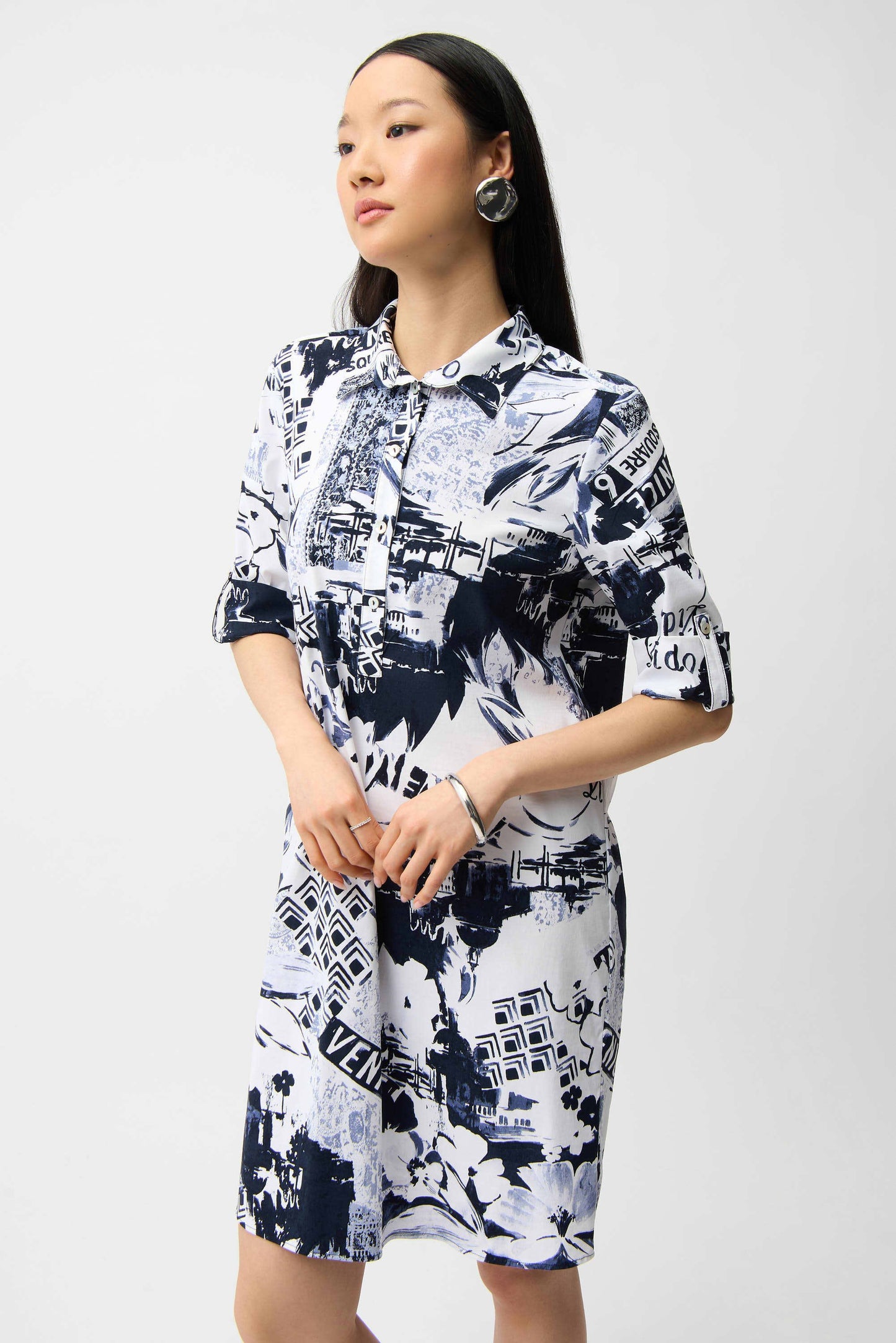 Stretch Poplin Conversational Print Shirt Dress
261048