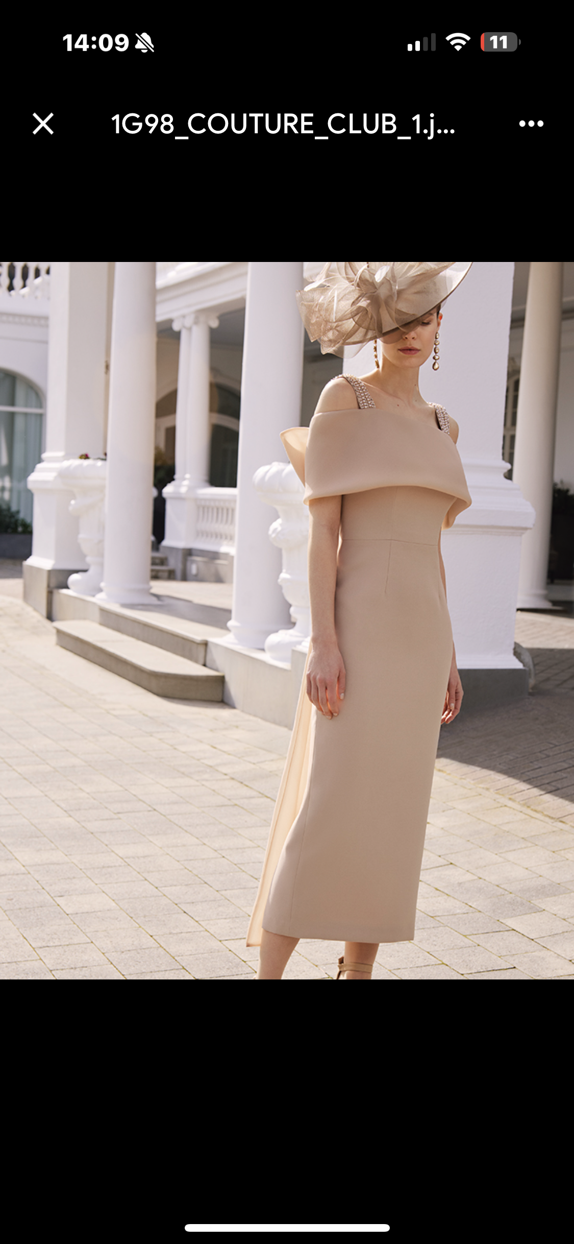 Mother of the bride and groom/special occasion